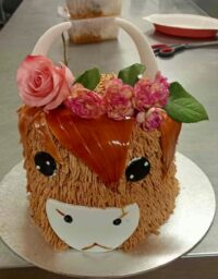 Cow cake