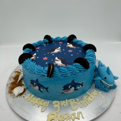 Kids Shark Cake