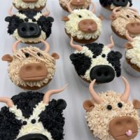 Assorted Dozen Buttercream & Fondant Cow Cupcakes