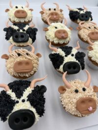 Assorted Dozen Buttercream & Fondant Cow Cupcakes