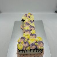 Pastel 1 with Choc Drip