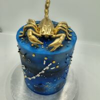 Scorpio Cake